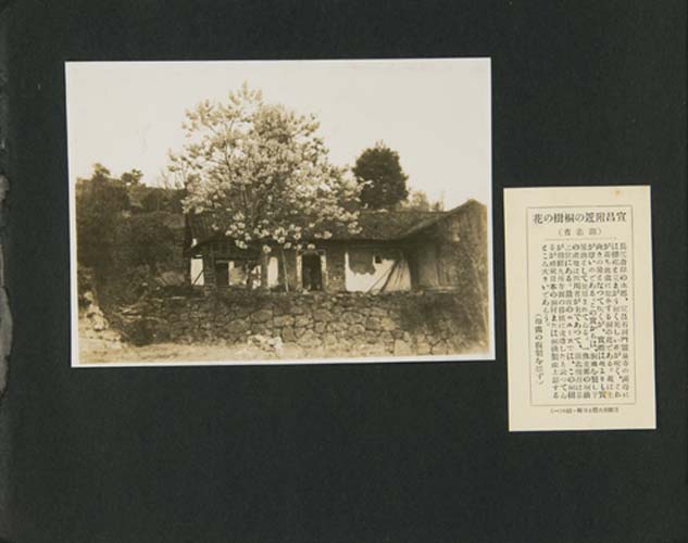 第14冊